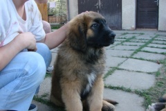 098_navsteva_clay_amad_happy_leon-2