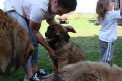 098_navsteva_clay_amad_happy_leon-24