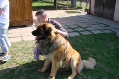 098_navsteva_clay_amad_happy_leon-25