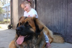 098_navsteva_clay_amad_happy_leon-31