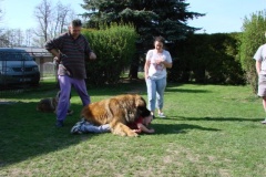 098_navsteva_clay_amad_happy_leon-5