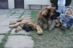 098_navsteva_clay_amad_happy_leon-56