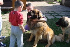 098_navsteva_clay_amad_happy_leon-58