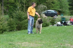 099_gwen_kv_tajov-10
