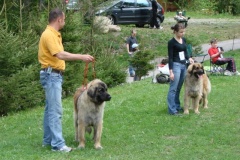099_gwen_kv_tajov-12