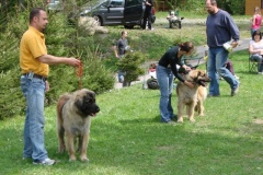 099_gwen_kv_tajov-18