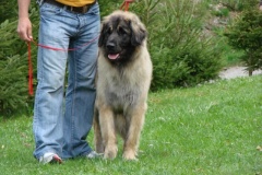 099_gwen_kv_tajov-20