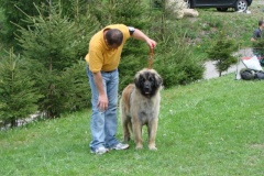 099_gwen_kv_tajov-22