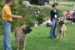 099_gwen_kv_tajov-3