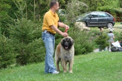 099_gwen_kv_tajov-30