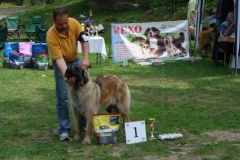 099_gwen_kv_tajov-31