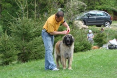 099_gwen_kv_tajov-32