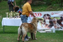099_gwen_kv_tajov-33