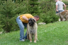099_gwen_kv_tajov-34