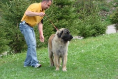 099_gwen_kv_tajov-36