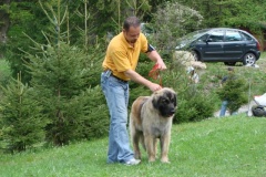 099_gwen_kv_tajov-37
