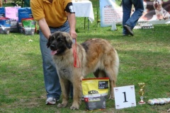 099_gwen_kv_tajov-38