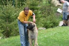 099_gwen_kv_tajov-5