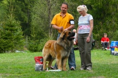 102_bard_kv_tajov-13