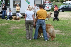 102_bard_kv_tajov-14