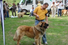 102_bard_kv_tajov-15