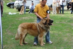 102_bard_kv_tajov-16