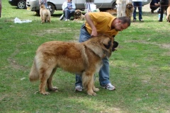102_bard_kv_tajov-17