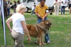 102_bard_kv_tajov-18