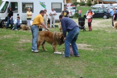 102_bard_kv_tajov-19