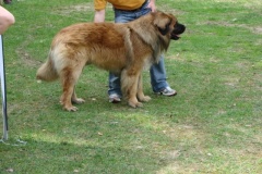 102_bard_kv_tajov-25