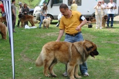 102_bard_kv_tajov-26