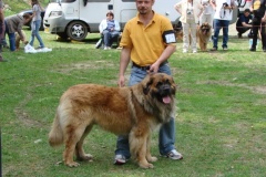 102_bard_kv_tajov-4
