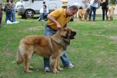 102_bard_kv_tajov-6