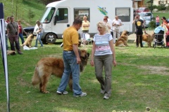 102_bard_kv_tajov-9