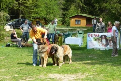 103_bard_gwen_nejhezci_par_psu_tajov-1