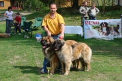 103_bard_gwen_nejhezci_par_psu_tajov-3
