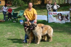 103_bard_gwen_nejhezci_par_psu_tajov-4