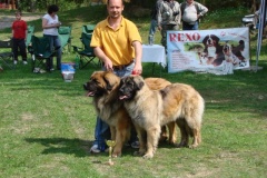 103_bard_gwen_nejhezci_par_psu_tajov-5