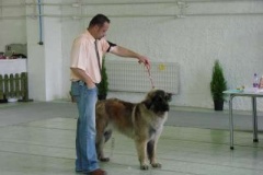 104_gwen_mvp_nitra-1