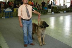 104_gwen_mvp_nitra-10