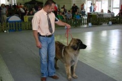 104_gwen_mvp_nitra-11