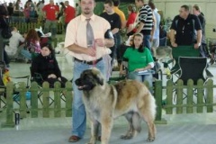 104_gwen_mvp_nitra-12