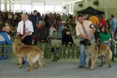104_gwen_mvp_nitra-13