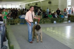 104_gwen_mvp_nitra-14