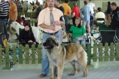 104_gwen_mvp_nitra-18