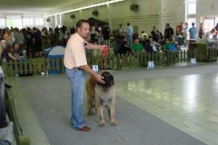 104_gwen_mvp_nitra-3