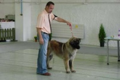 104_gwen_mvp_nitra-4