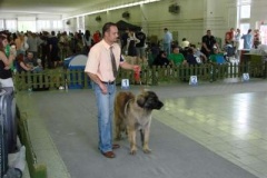 104_gwen_mvp_nitra-5