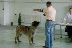 104_gwen_mvp_nitra-7