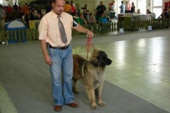 104_gwen_mvp_nitra-9